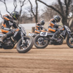 harley 2020 flat track team